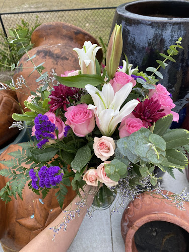 The Butterfly Florist