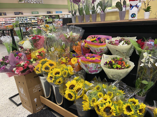 Publix Super Market at Pine Ridge Crossing Shopping Center