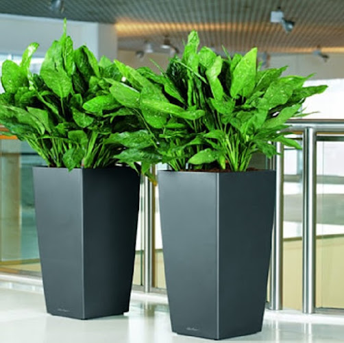 Simply Think Environment Management