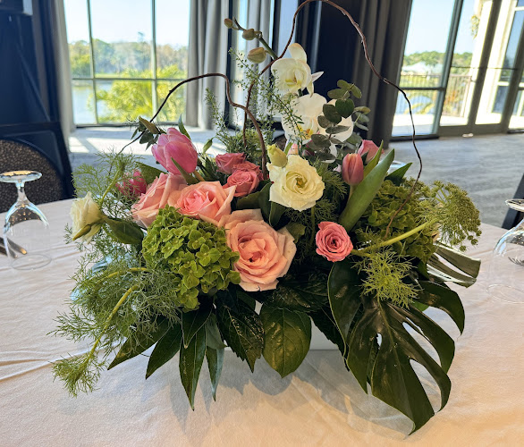 River District Botanicals LLC