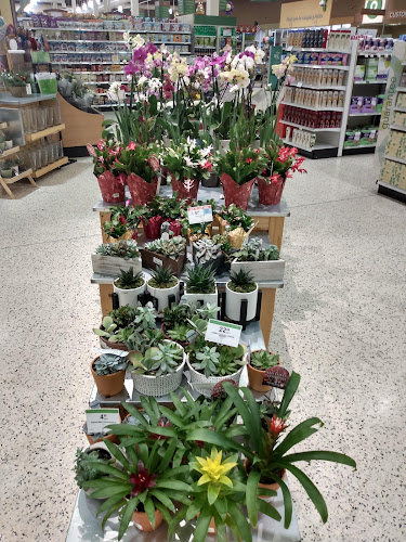 Publix Super Market at Crossroads Market Shopping Center