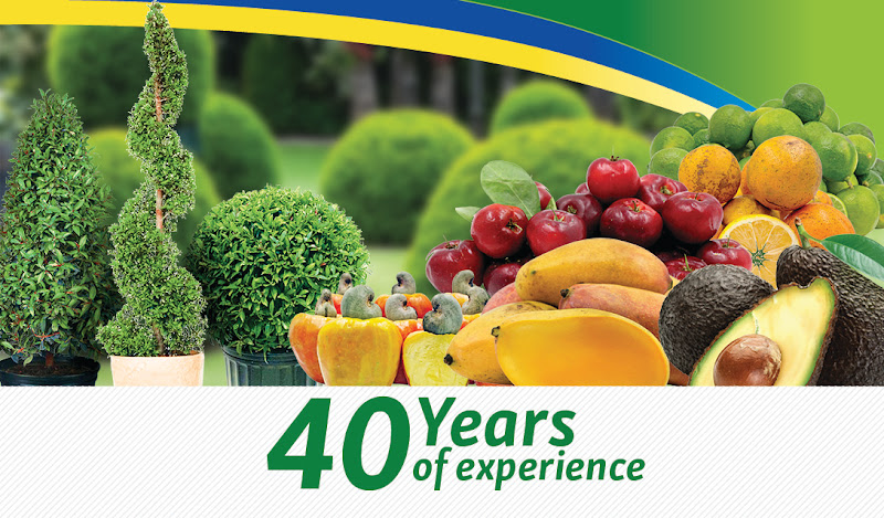 Topiary Gardens Nursery