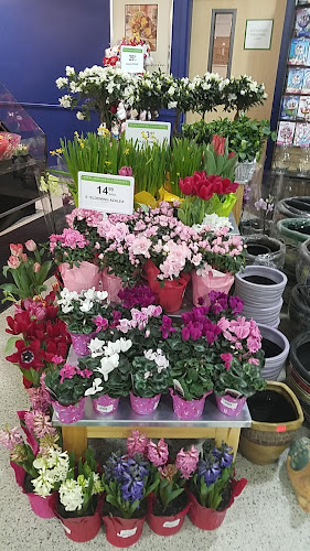 Publix Super Market at Oasis Plaza