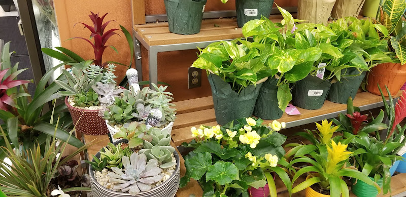 Publix Super Market at Searstown Shopping Center