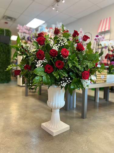 Cherry Blossom Flowers and Balloons