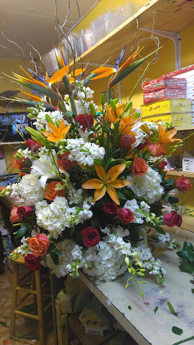 Hialeah Flowers