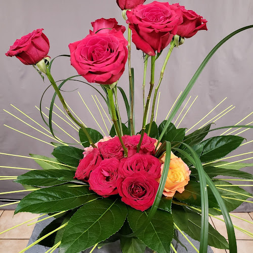 Aventura Blooming Petals