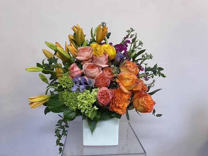 Tropical Elegance Inc.