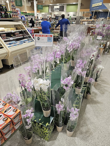 Publix Super Market at Westcreek Commons