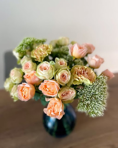 Wildflowers of Parkland