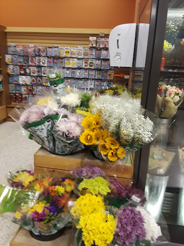 Publix Super Market at Pine Lake Plaza