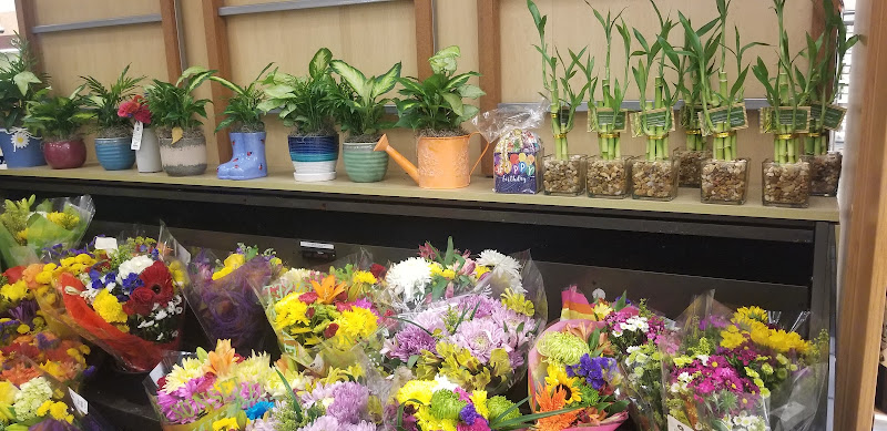 Publix Super Market at Venetian Isle Shopping Center