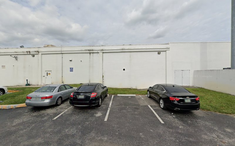 Bellissimo Preserved Roses & Flowers Wholesale