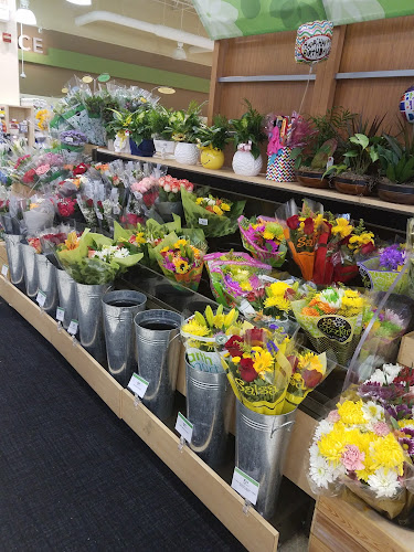 Publix Super Market at Sheridan Plaza