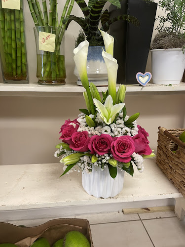 Rosa Flowers & Gifts
