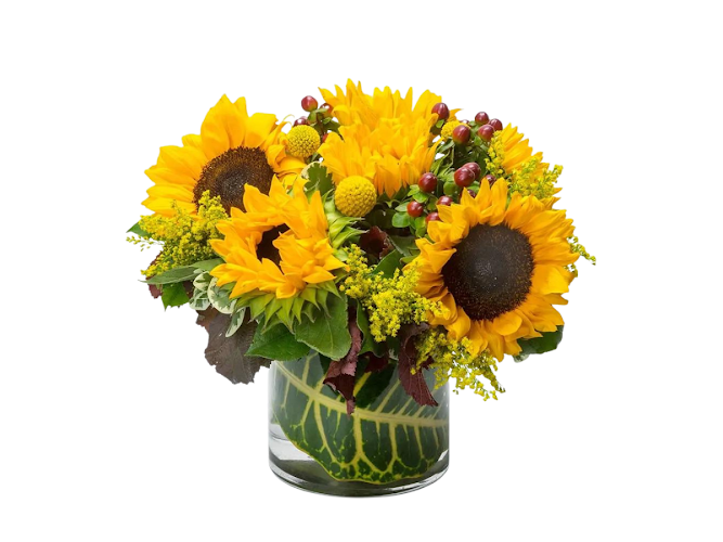 Miami Beach Flowers®