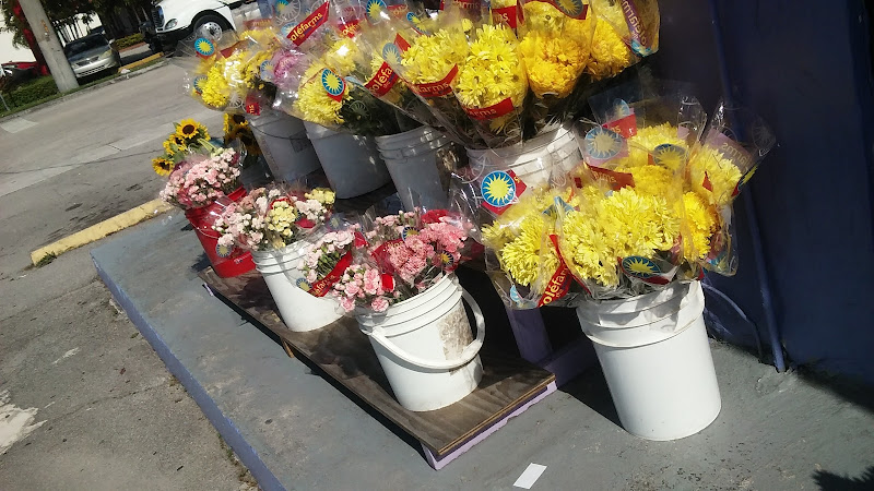Botanica San Lazaro Flowers Almacén Wholesale
