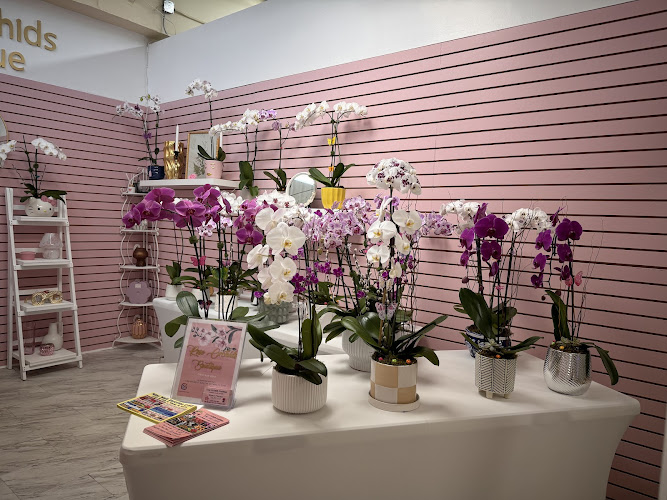 Rose Orchids Boutique