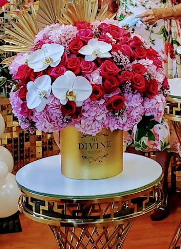 My Divine Decors LLC