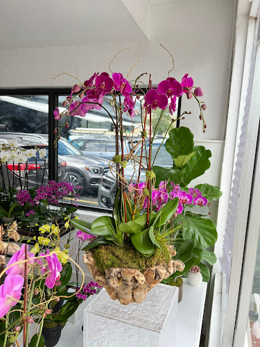 Garden Gate Orchid Arrangements