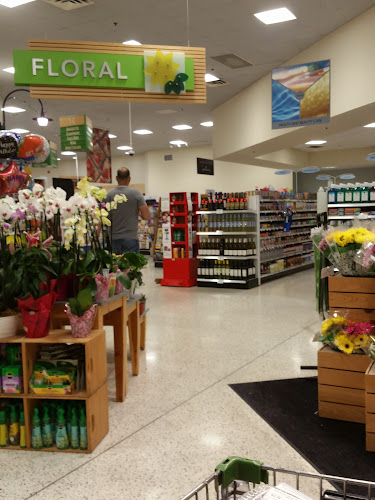 Publix Super Market at Colonial Crossings