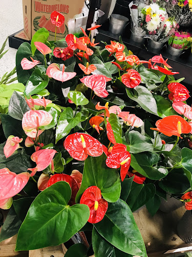 Publix Super Market at Doral Isle