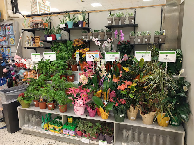 Publix Super Market at Shoppes at Lago Mar