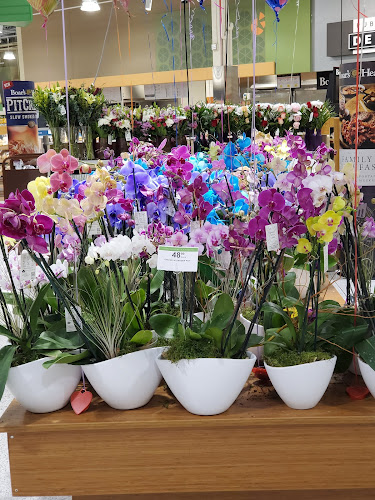 Publix Super Market at Miami Lakes