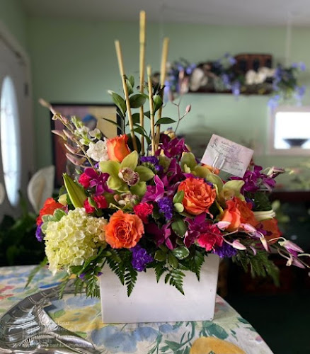 Bashful Daisy Florist