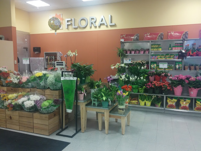 Publix Super Market at Central Shopping Center