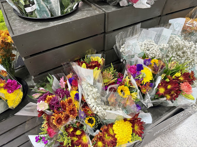 Publix Super Market at Five Points Plaza