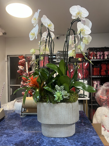 Flowers Gifts and More