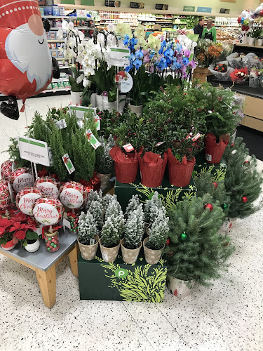 Publix Super Market at Sawgrass Square