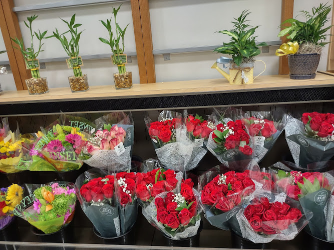 Publix Super Market at Welleby Plaza