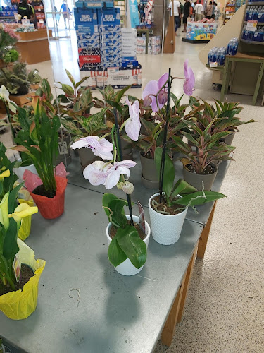 Publix Super Market at Sunshine Plaza