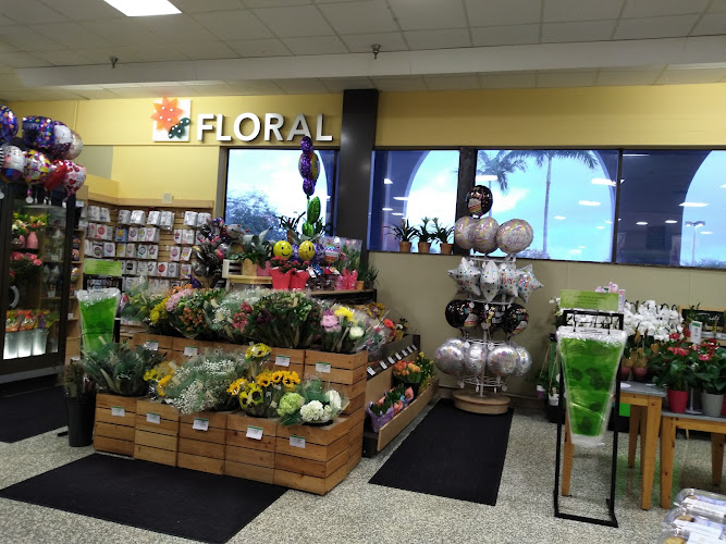 Publix Super Market at Pine Island Ridge Plaza