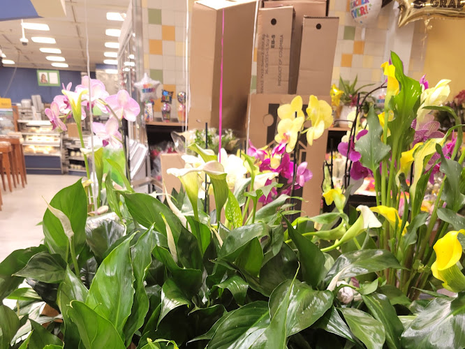 Publix Super Market Plaza