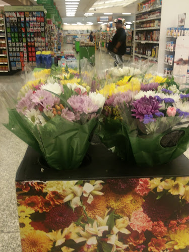 Publix Super Market at Shenandoah Square