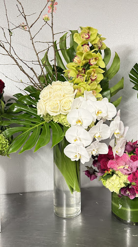 Flowers of Palm Beach