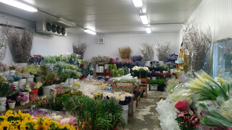 Palm Beach Wholesale Flowers, Inc.