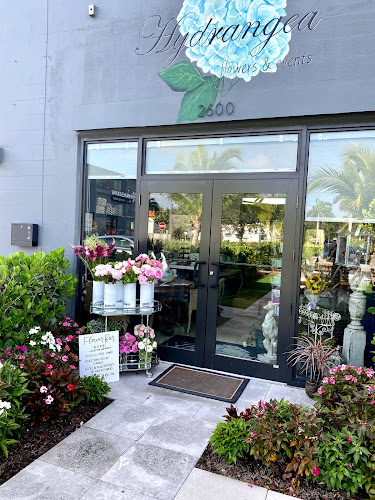 Hydrangea Flowers and Events