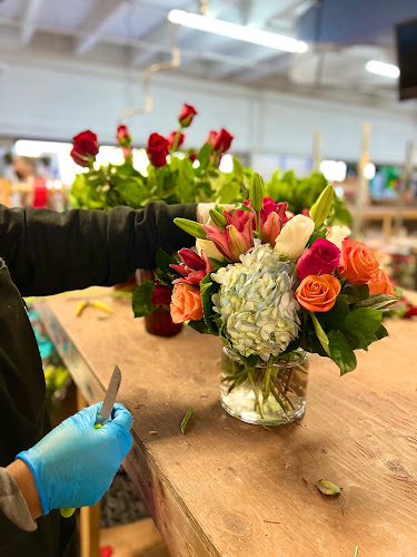 Palm Beach Flower Delivery by DBG Flowers