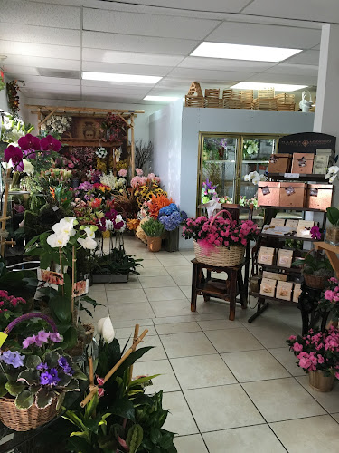 Anna Flowers of Jupiter