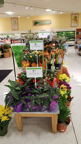 Publix Super Market at Aberdeen Square