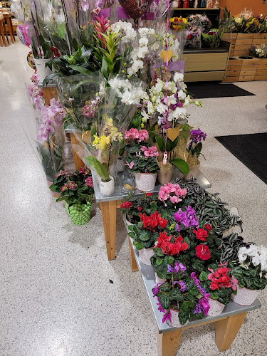 Publix Super Market at Town Commons