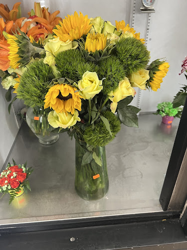 Nursery Outlet/Urban Farm Mart