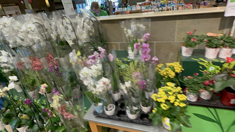 Publix Super Market at Boca Village Square