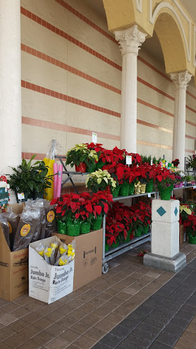 Publix Super Market at Mercado Real