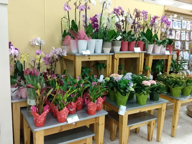 Publix Super Market at The Plaza at Delray