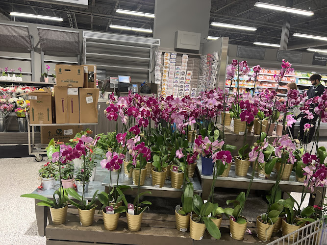 Publix Super Market at Polo Club Shops